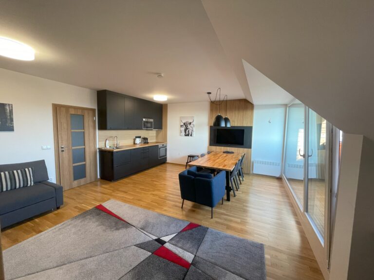 Obývací pokoj s kuchyňským koutem v apartmánu